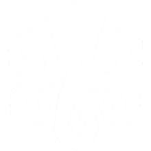P2Pinfo.net octopus logo